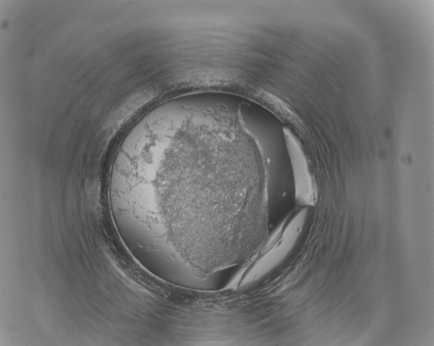 X0000072970627200608111717