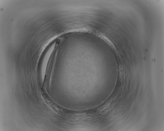 X0000072970628200608111717