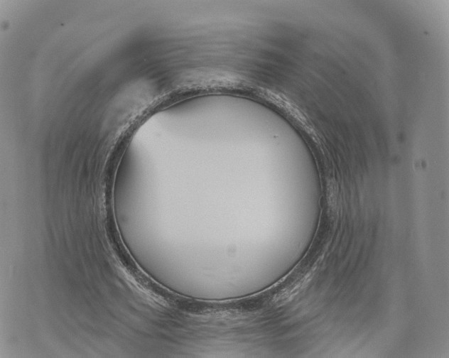 X0000072970629200608111717