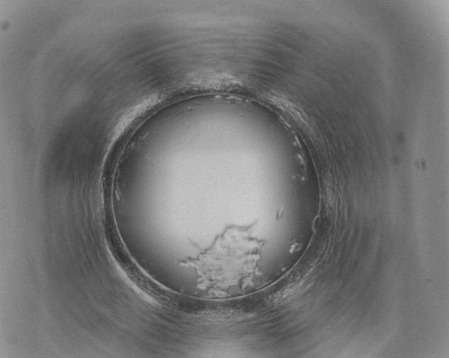 X0000072970630200608111717