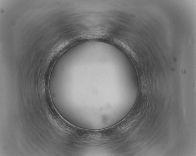 X0000072970631200608111717