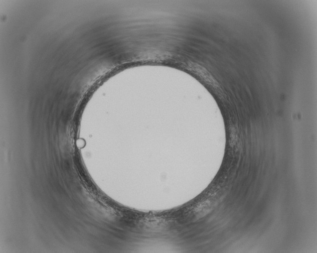 X0000072970632200608111717