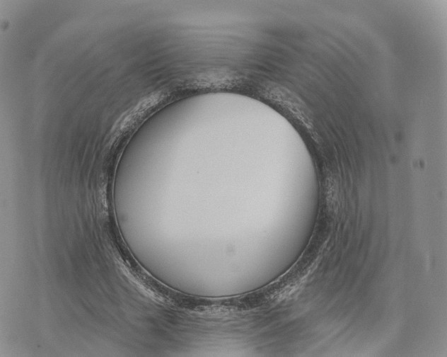 X0000072970633200608111717