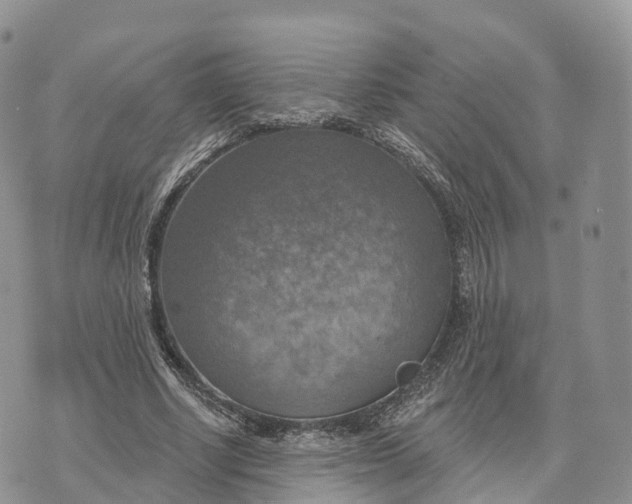 X0000072970634200608111717