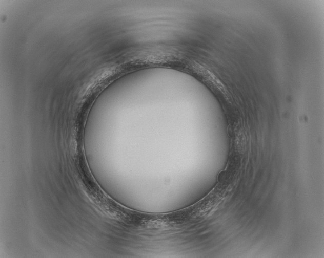 X0000072970635200608111717