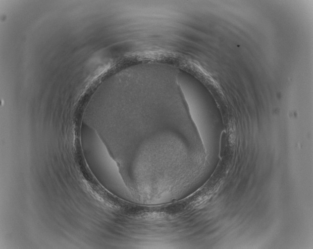 X0000072970637200608111717