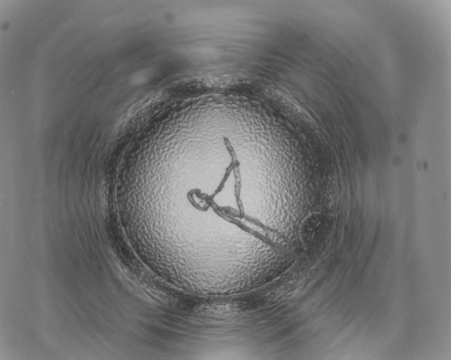 X0000072970639200608111717