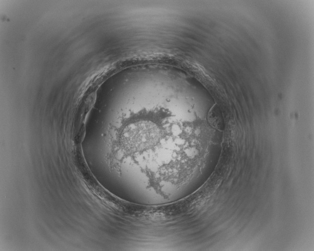 X0000072970640200608111717