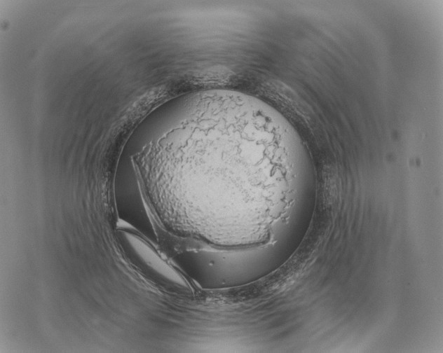 X0000072970641200608111717