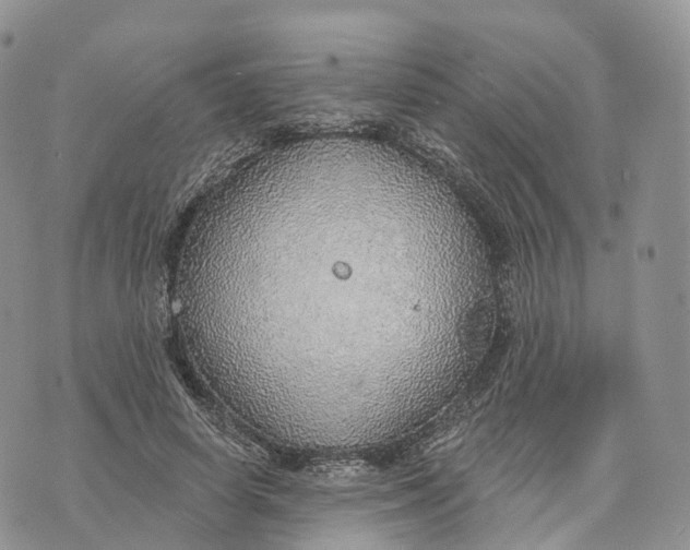 X0000072970642200608111717