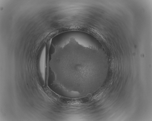 X0000072970643200608111717