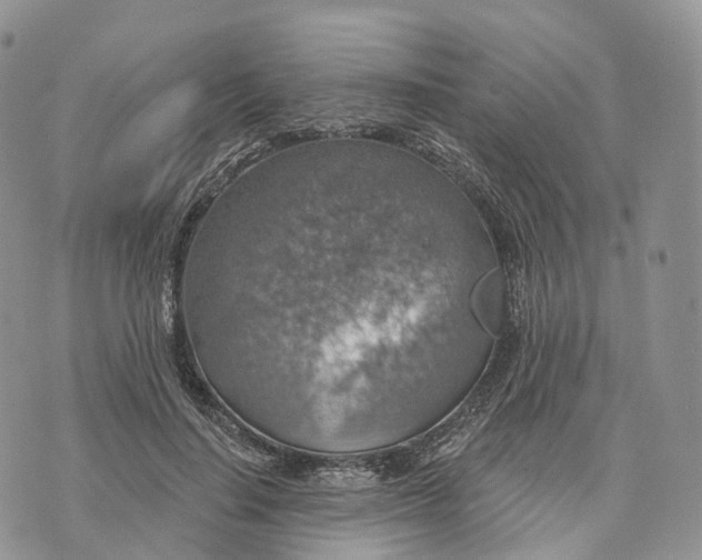 X0000072970644200608111717