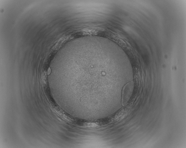 X0000072970649200608111717