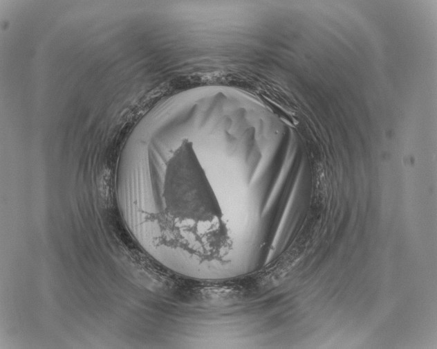 X0000072970650200608111717