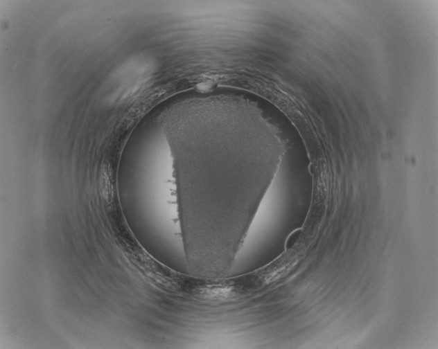 X0000072970651200608111717