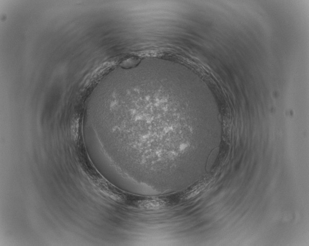 X0000072970652200608111717