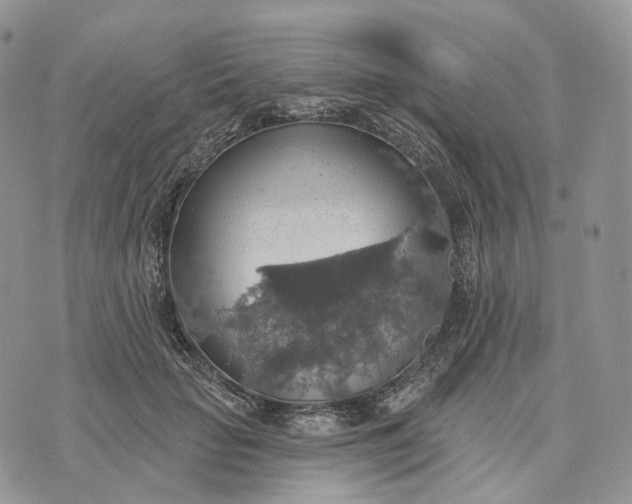 X0000072970653200608111717