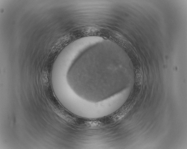 X0000072970654200608111717