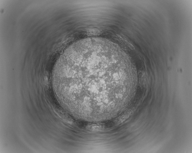 X0000072970655200608111717