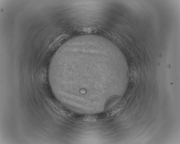 X0000072970656200608111717