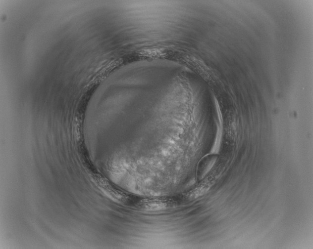 X0000072970658200608111717