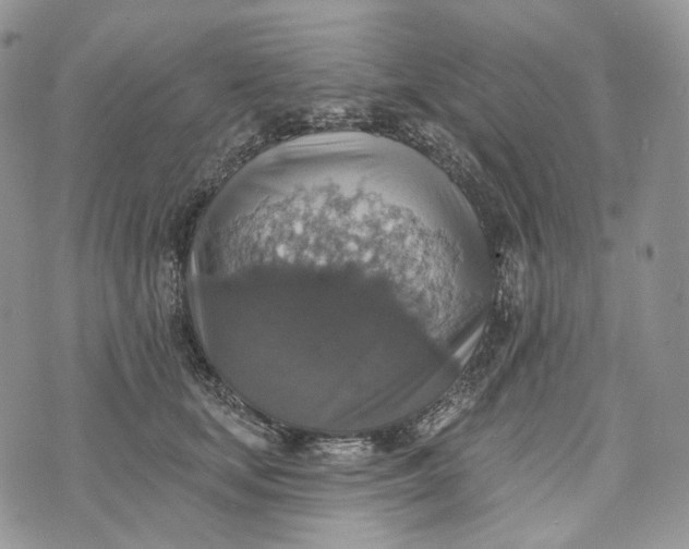 X0000072970659200608111717