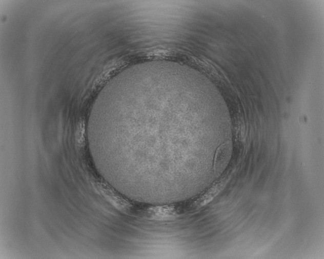 X0000072970660200608111717