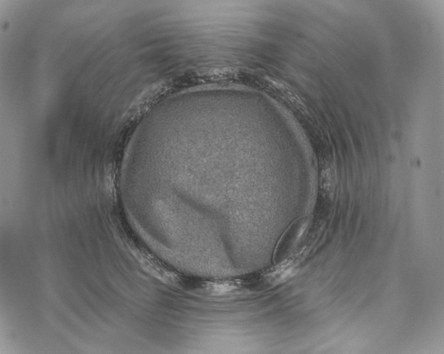 X0000072970662200608111717