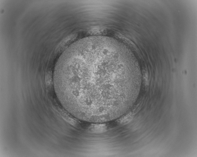 X0000072970665200608111717