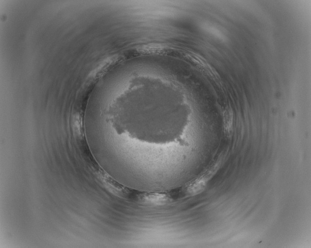 X0000072970669200608111717