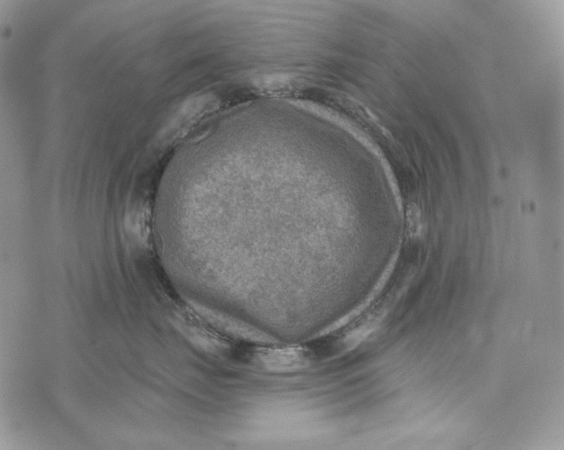 X0000072970671200608111718