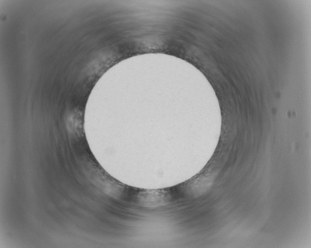 X0000072970672200608111718