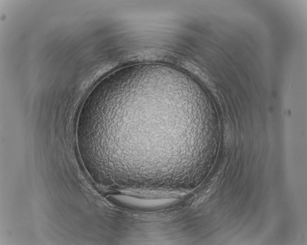 X0000072970673200608111717