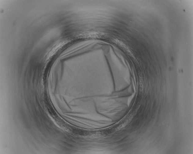 X0000072970674200608111717