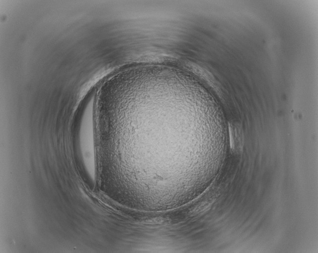 X0000072970675200608111717