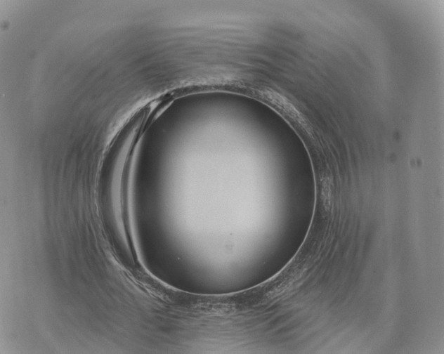 X0000072970676200608111717