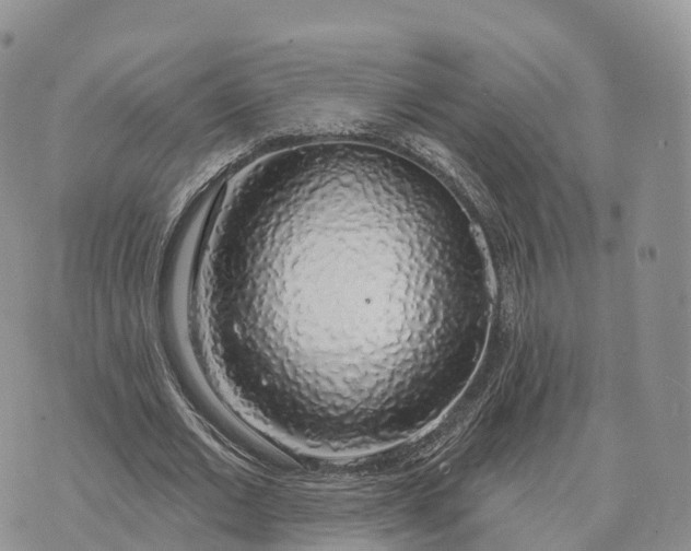 X0000072970677200608111717