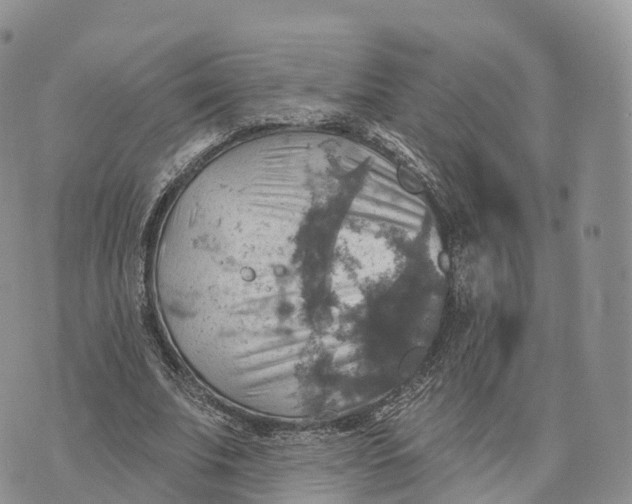 X0000072970679200608111717