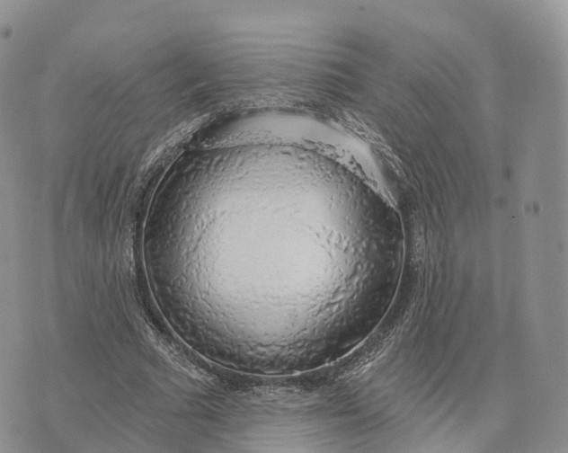 X0000072970681200608111717