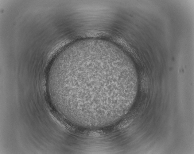 X0000072970683200608111717