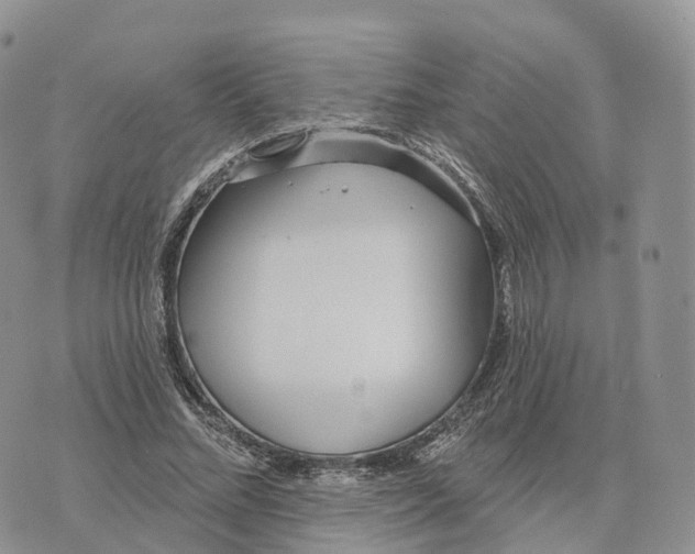 X0000072970684200608111717