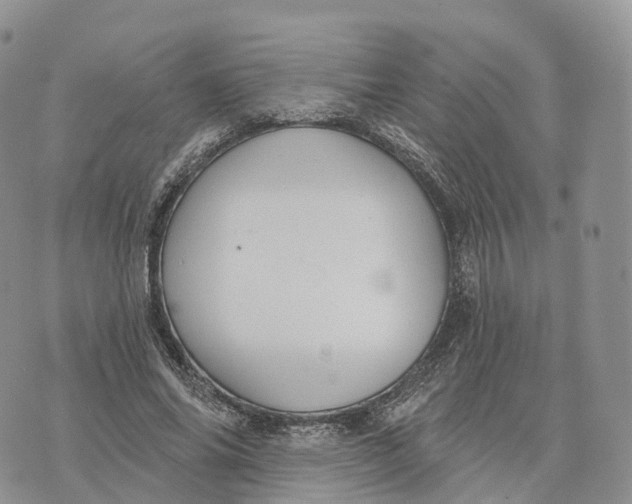 X0000072970686200608111717