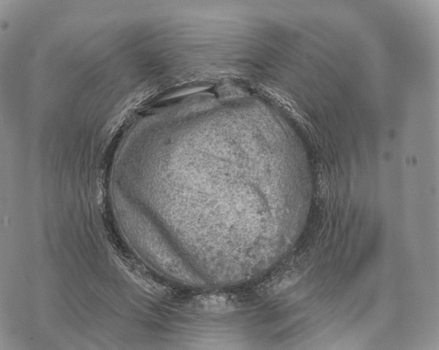 X0000072970687200608111717