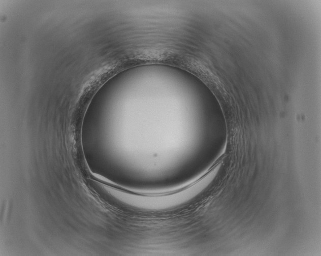 X0000072970688200608111717