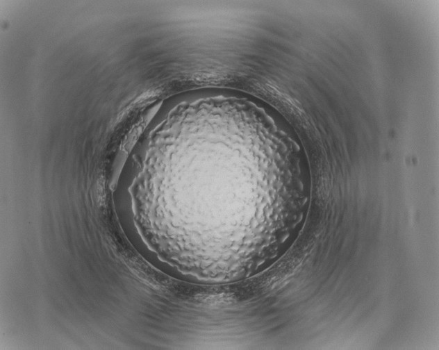 X0000072970689200608111716