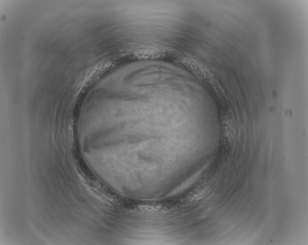 X0000072970690200608111716