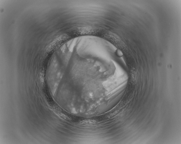 X0000072970691200608111716