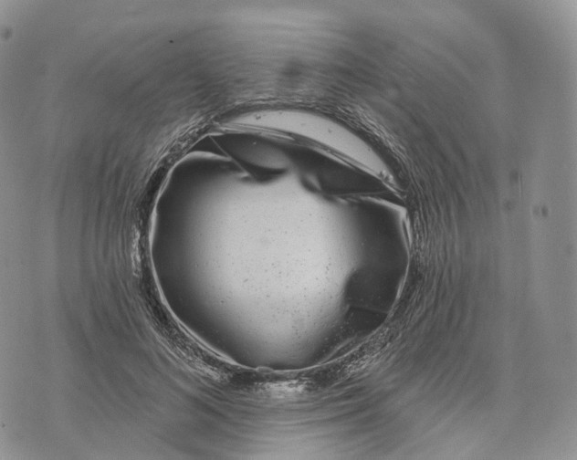 X0000072970692200608111716