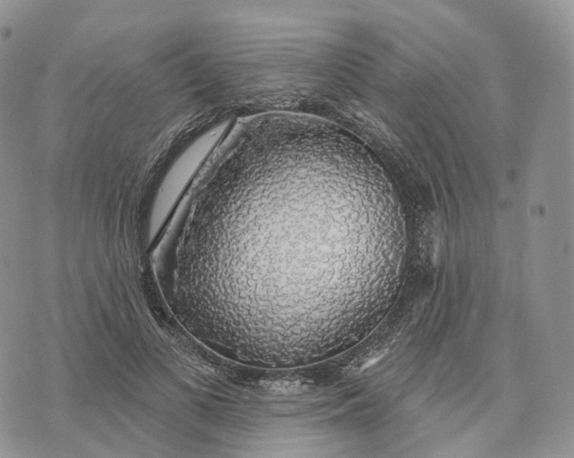 X0000072970693200608111716