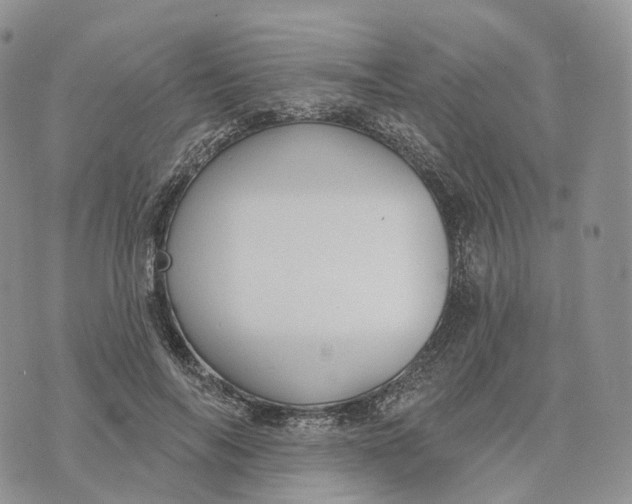 X0000072970694200608111716